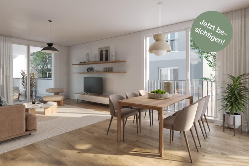 3.5 Zimmerwohnung in Zürich (1)
