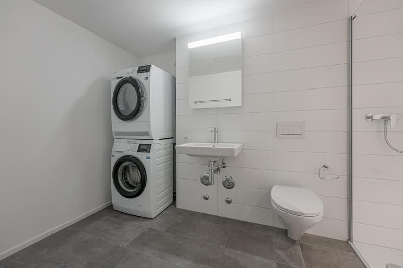 2.5 Zimmerwohnung in Uster (6)