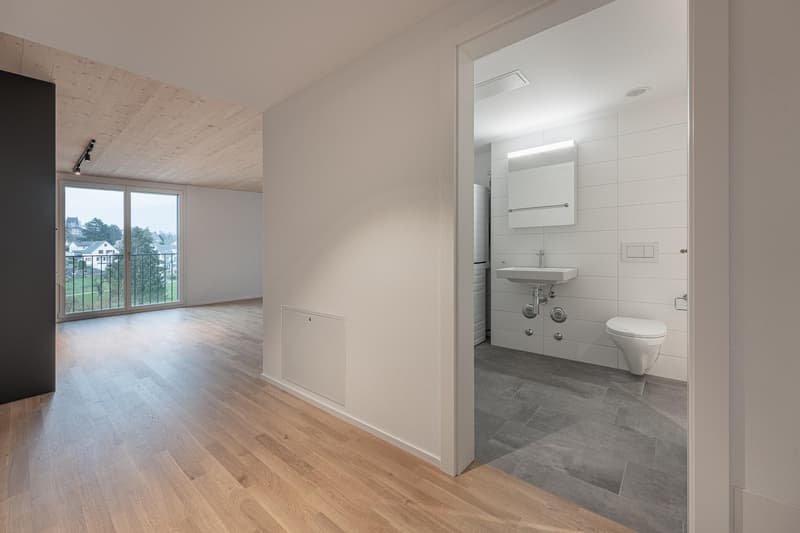 2.5 Zimmerwohnung in Uster (3)