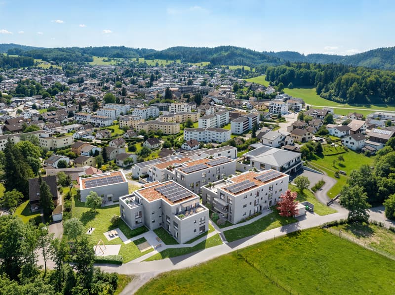 Brisenwiese Seon - Wohnen mit Aussicht (1)