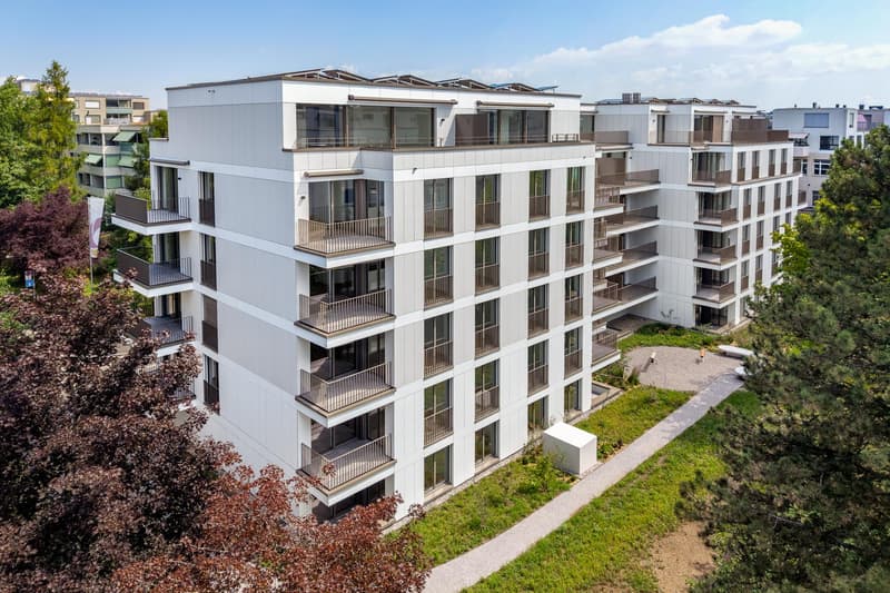 3.5 Zimmerwohnung in Zürich (1)