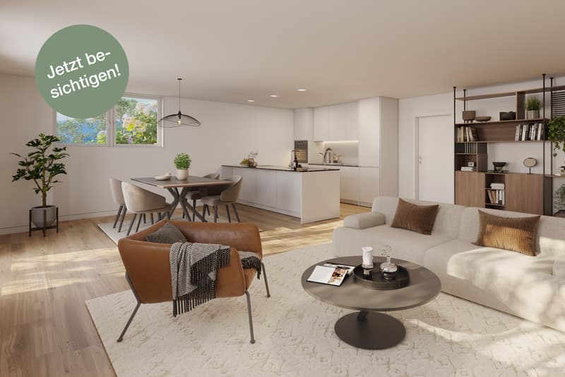 2.5 Zimmerwohnung in Zürich (1)
