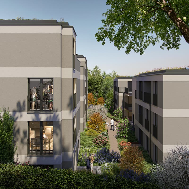 2.5 Zimmerwohnung in Zürich (4)