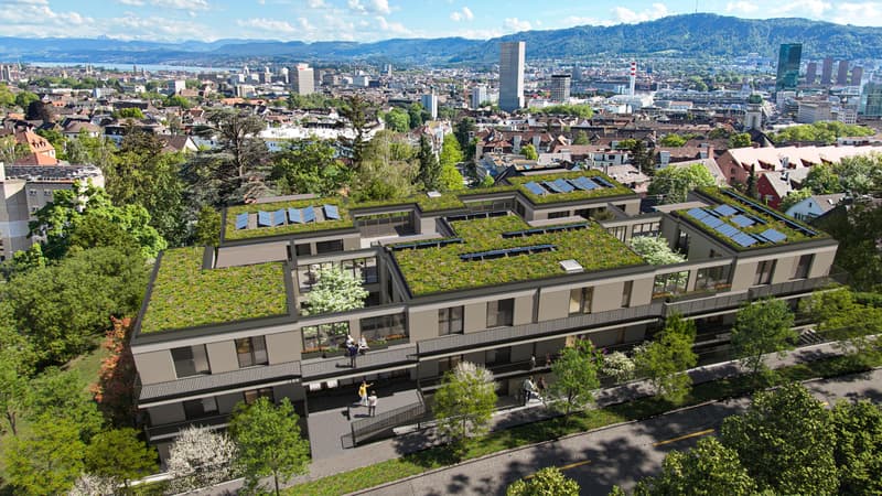 2.5 Zimmerwohnung in Zürich (5)