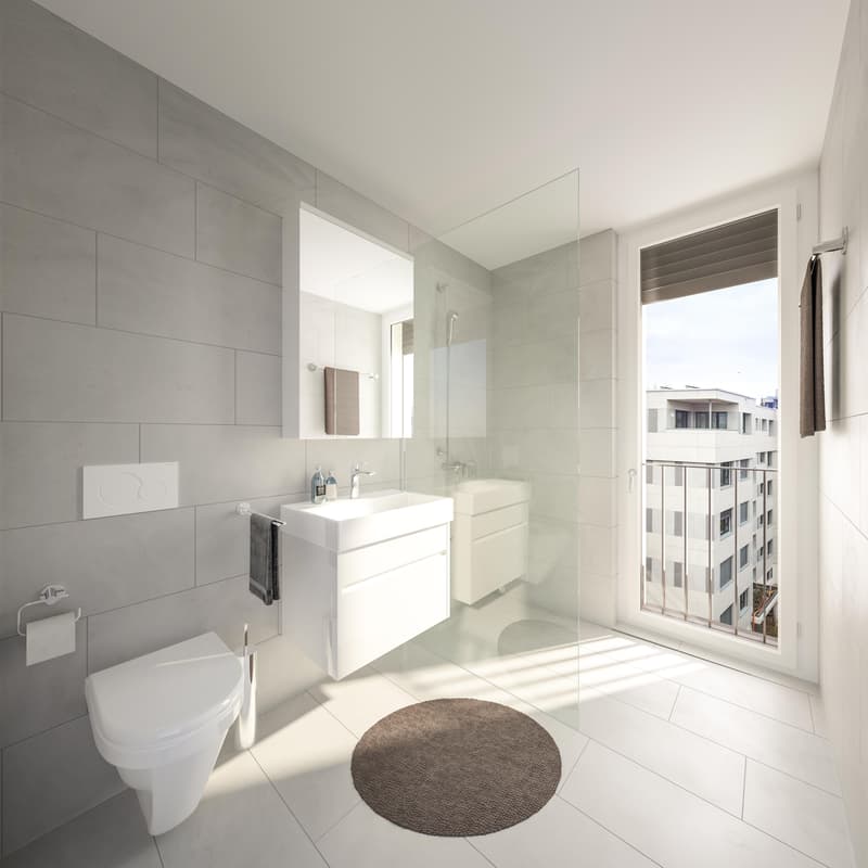 1.5 Zimmerwohnung in Zürich (3)