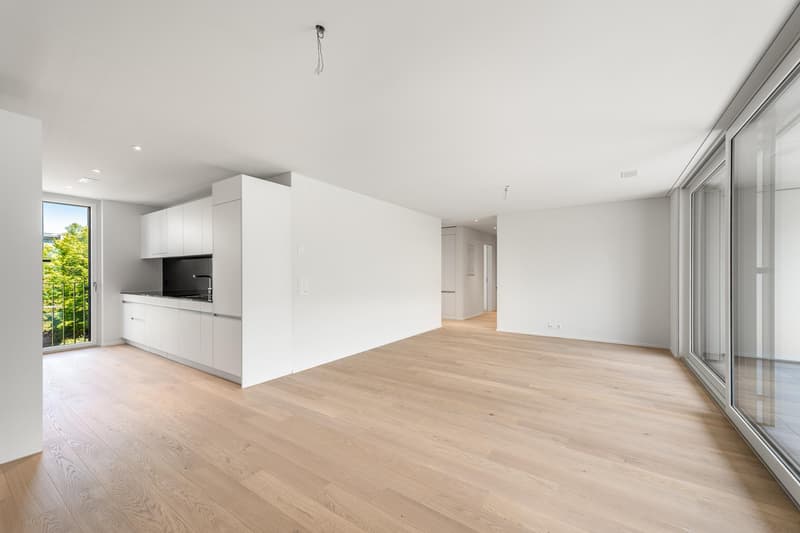 3.5 Zimmerwohnung in Zürich (2)