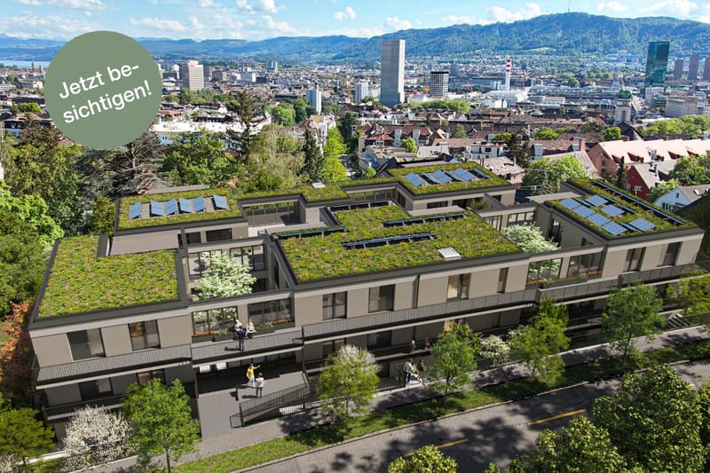 4.5 Zimmerwohnung in Zürich (1)