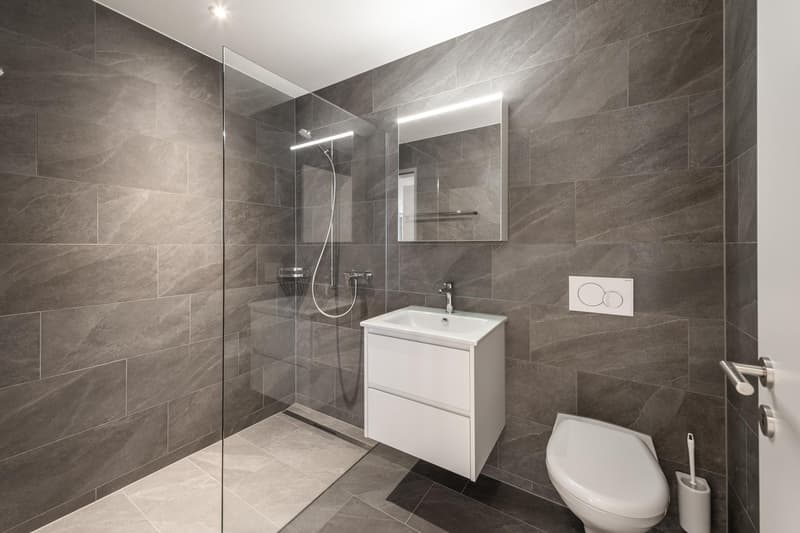3.5 Zimmerwohnung in Zürich (8)