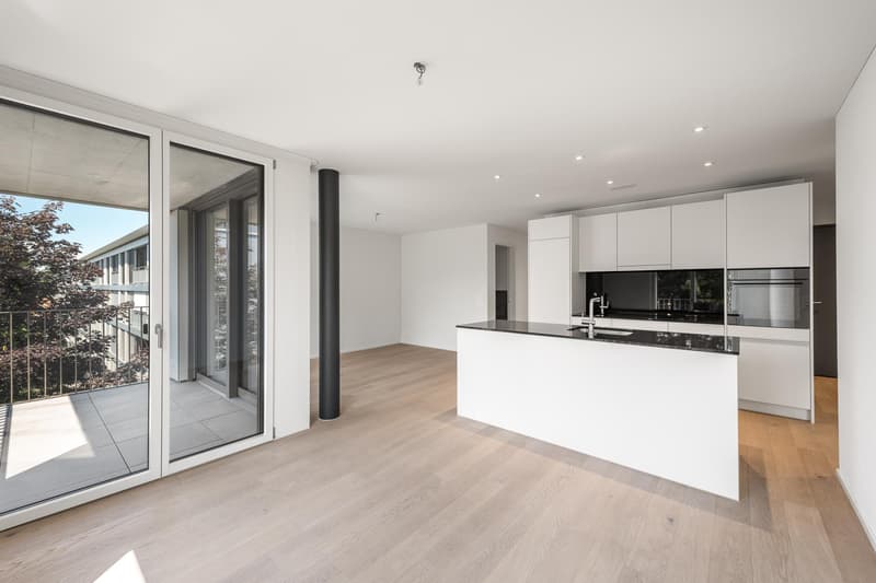 3.5 Zimmerwohnung in Zürich (1)