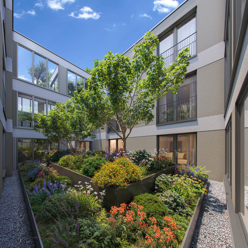 3.5 Zimmerwohnung in Zürich (2)
