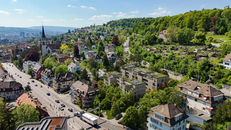 3.5 Zimmerwohnung in Zürich (5)