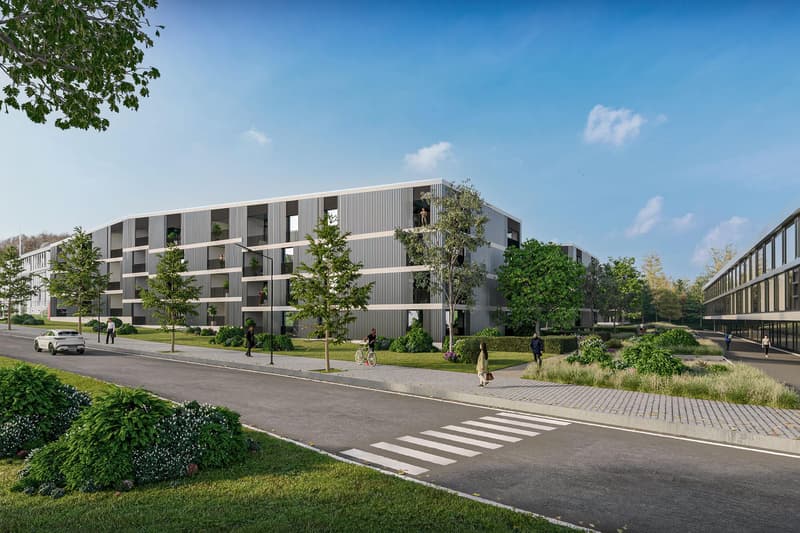 LETZTE GELEGENHEIT - Segelhof Baden-Dättwil (1)