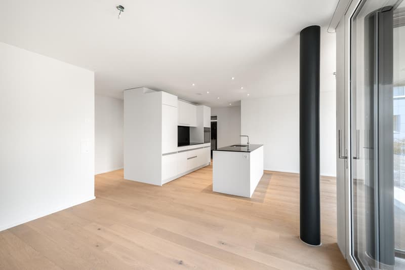 3.5 Zimmerwohnung in Zürich (3)