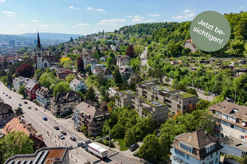 4.5 Zimmerwohnung in Zürich (1)