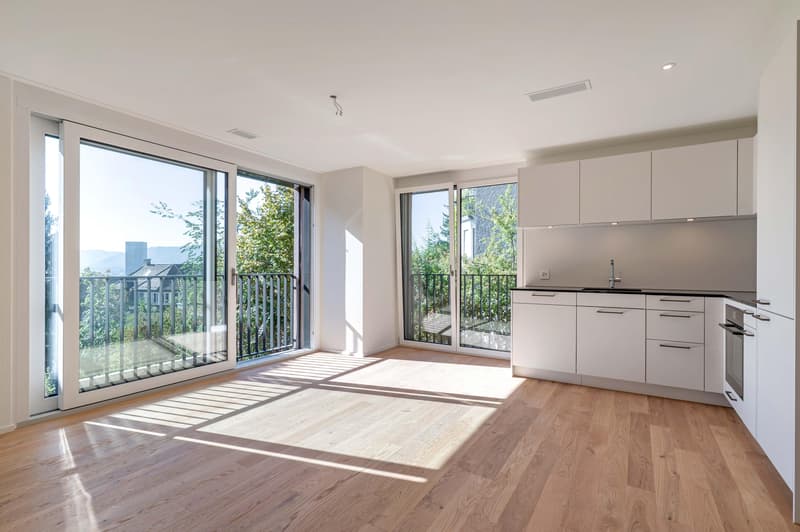 3.5 Zimmerwohnung in Zürich (2)