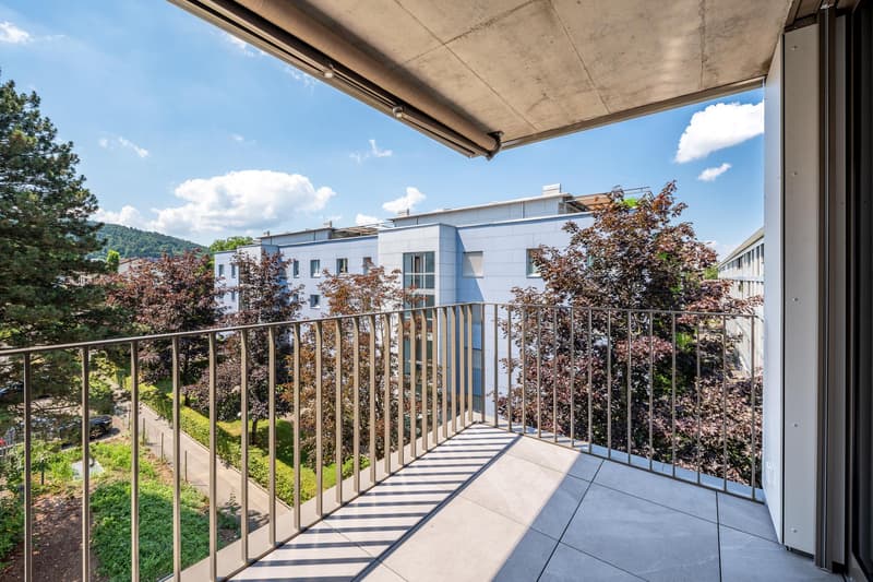 3.5 Zimmerwohnung in Zürich (2)