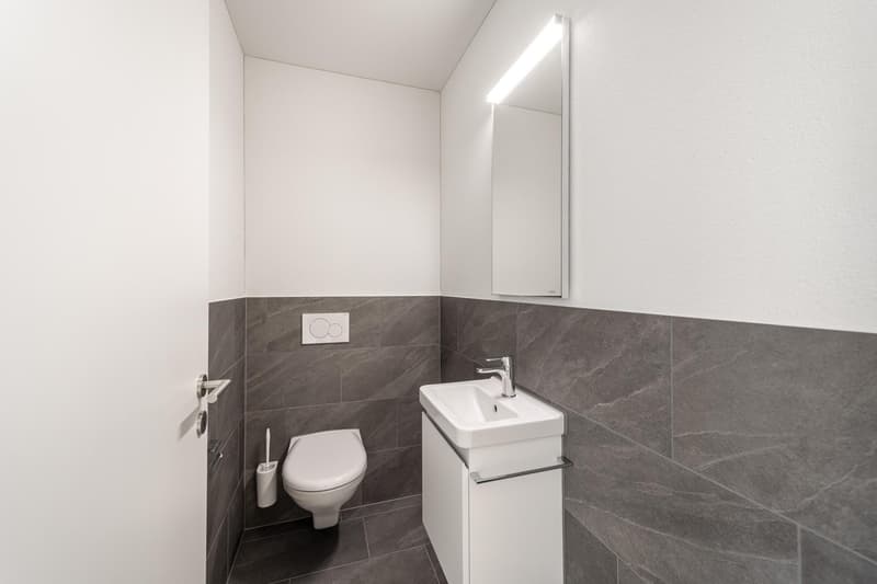 3.5 Zimmerwohnung in Zürich (8)