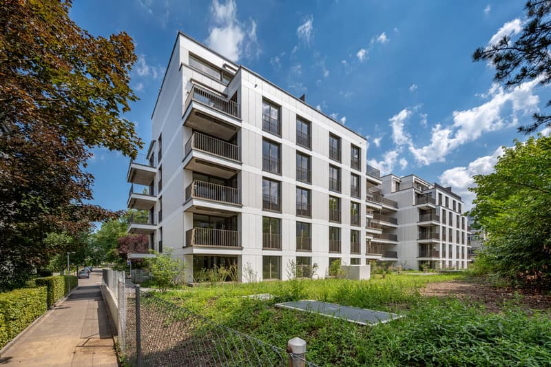 3.5 Zimmerwohnung in Zürich (3)