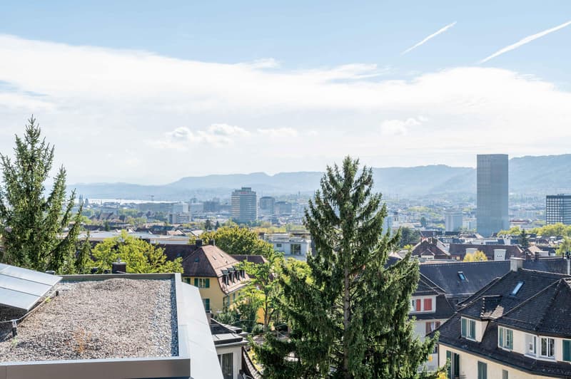2.5 Zimmerwohnung in Zürich (5)