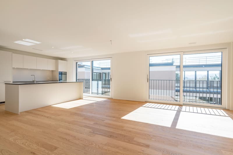 5.5 Zimmerwohnung in Zürich (3)