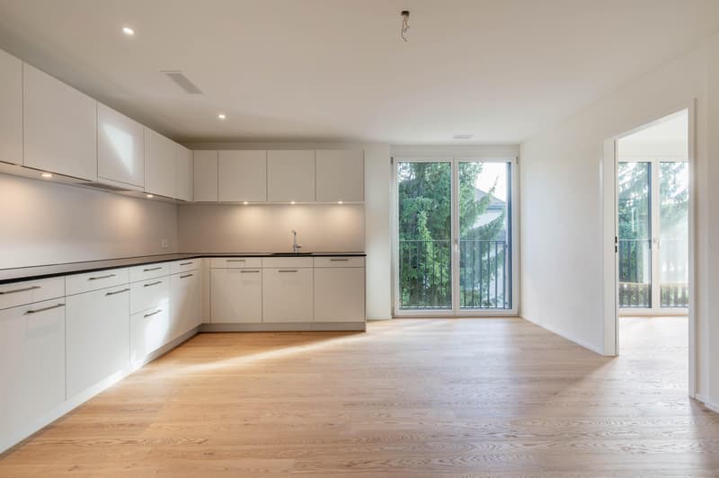4.5 Zimmerwohnung in Zürich (2)