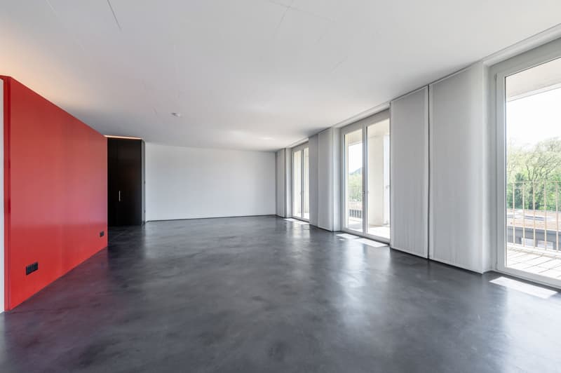 Loft apartment - top floor - with view of the river landscape (6)