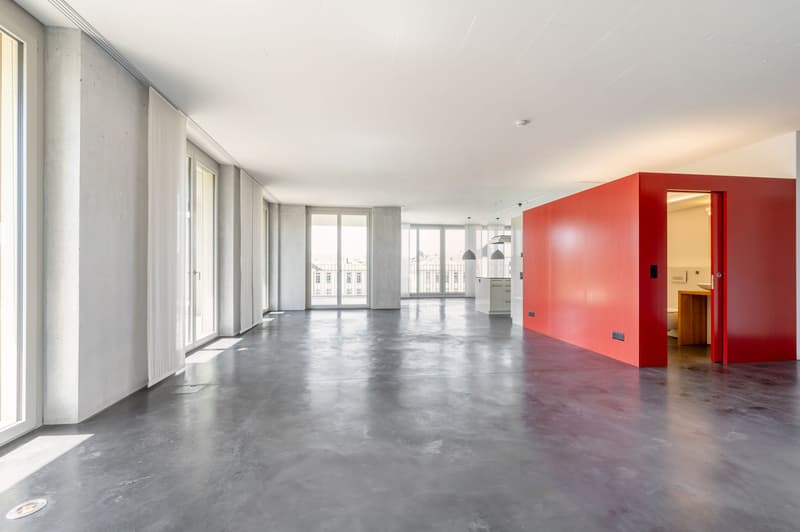 Loft apartment - top floor - with view of the river landscape (3)