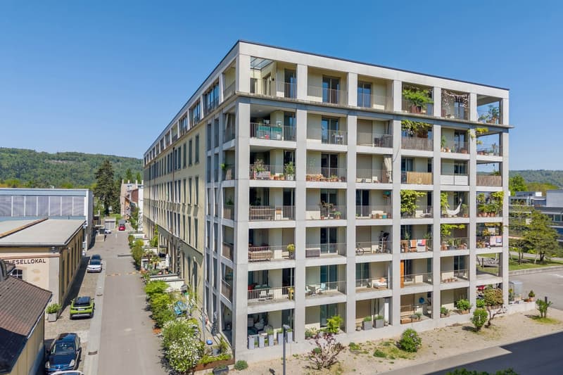 Loft apartment - top floor - with view of the river landscape (10)