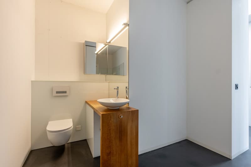 Loft apartment - top floor - with view of the river landscape (9)