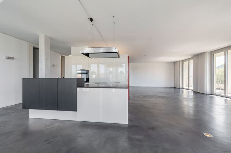 Loft apartment - top floor - with view of the river landscape (4)