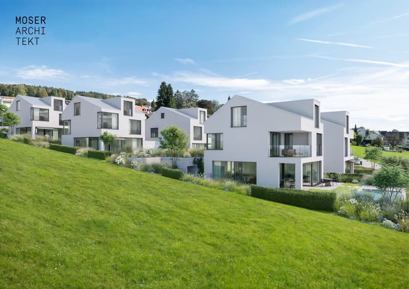 Aussenvisualisierung 1