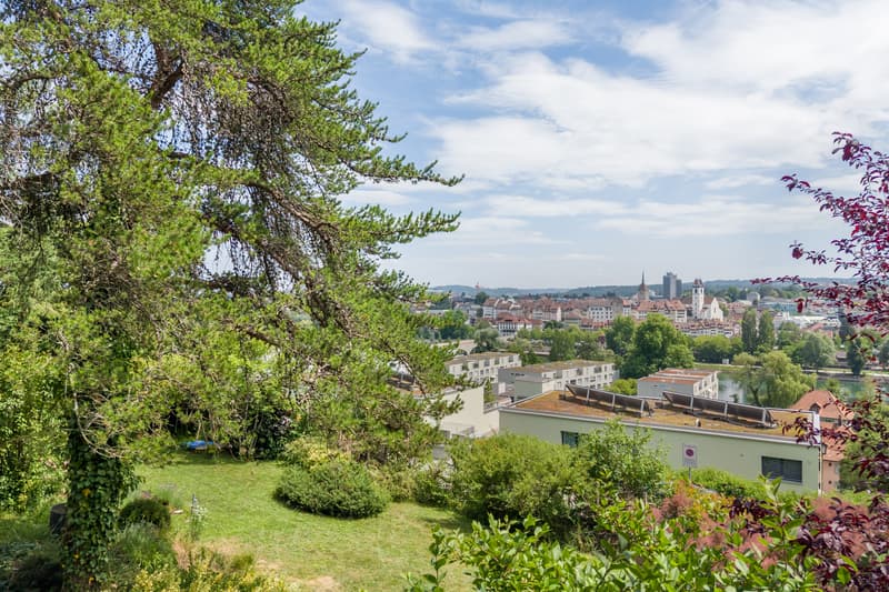 Aussicht, Garten