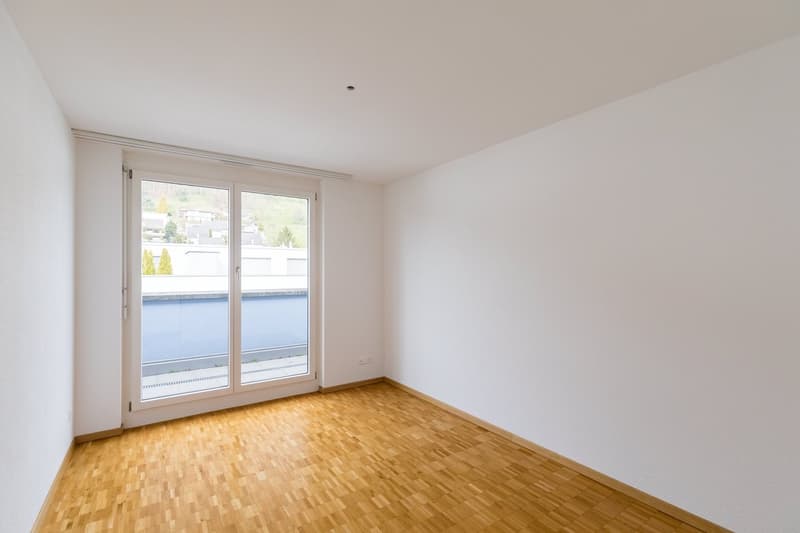 Zimmer3