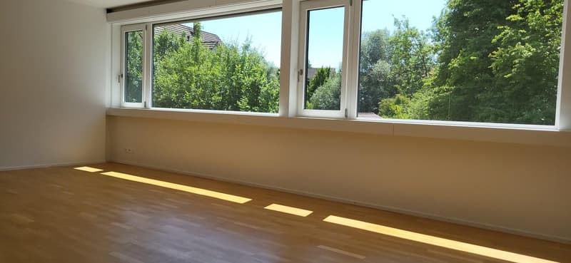 Charming 3.5-room apartment on Strandweg in Burgdorf (6)