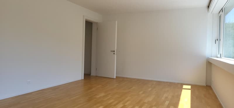 Charming 3.5-room apartment on Strandweg in Burgdorf (5)