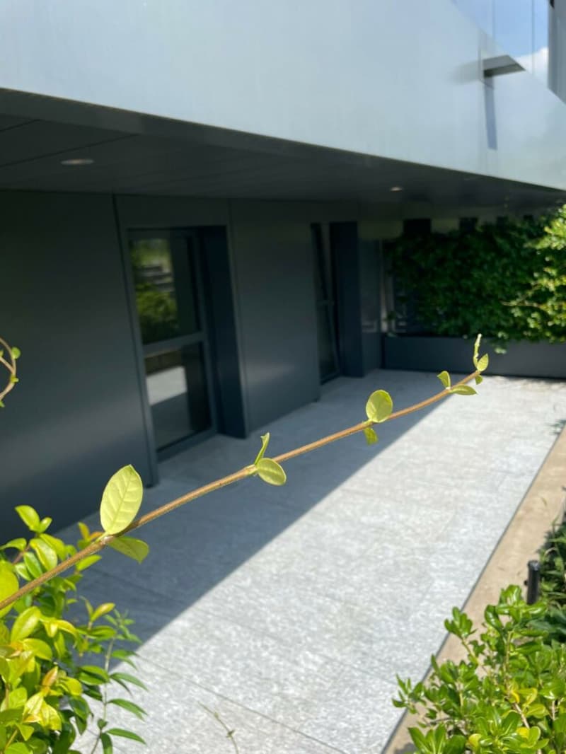 gray building exterior, gray entrance walkway, gray floor, multiple glass windows, potted plants on the wall