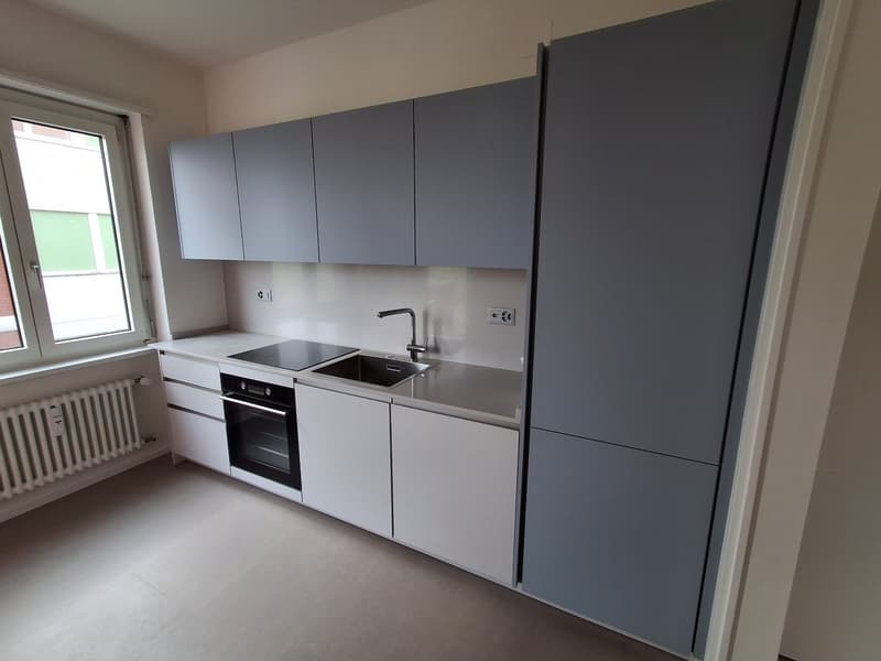 modern kitchen, white cabinets, grey walls, stainless steel sink, black induction cooktop, oven, natural light