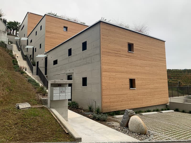Élégance, espace et nature - 4,5 pièces à louer à Pura avec vue sur vignobles et lac (4)