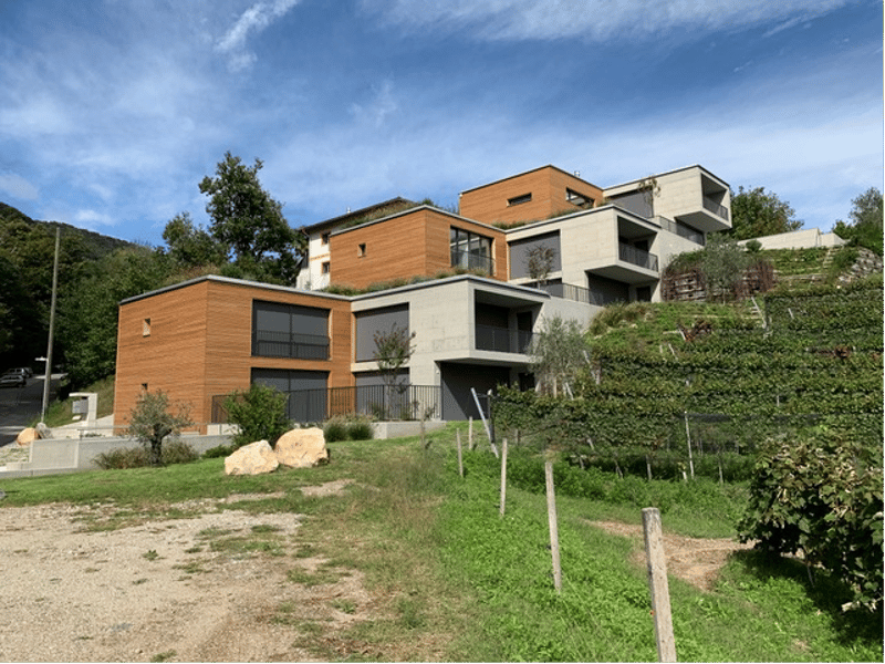 Élégance, espace et nature - 4,5 pièces à louer à Pura avec vue sur vignobles et lac (3)