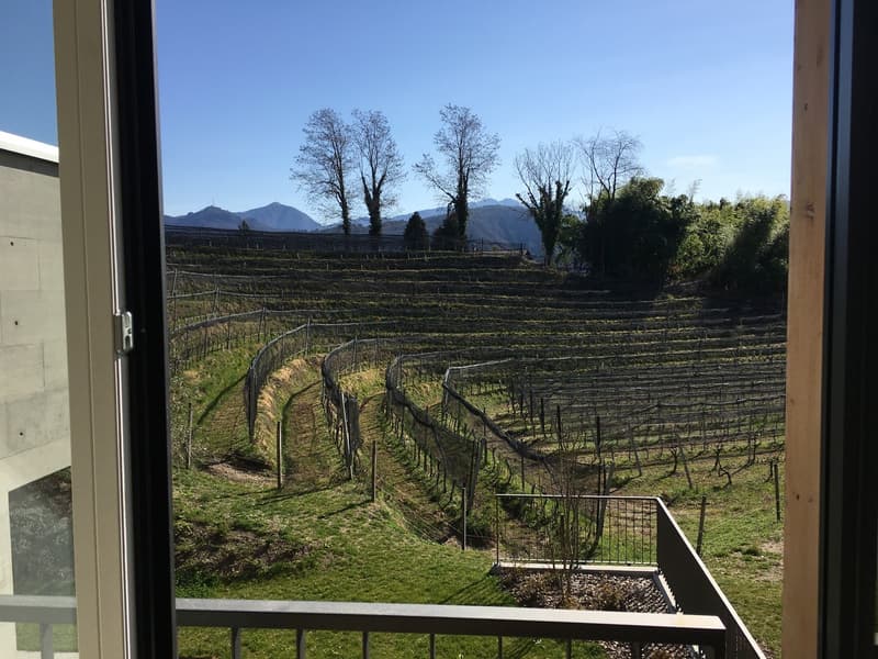 Élégance, espace et nature - 4,5 pièces à louer à Pura avec vue sur vignobles et lac (9)
