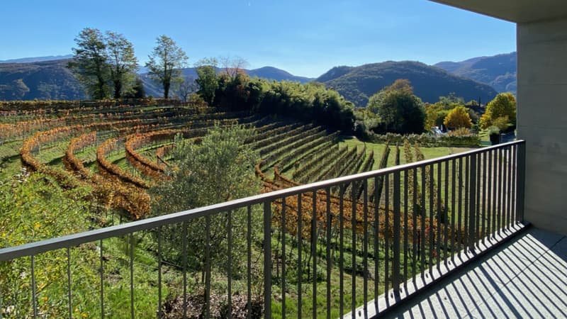 Élégance, espace et nature - 4,5 pièces à louer à Pura avec vue sur vignobles et lac (8)