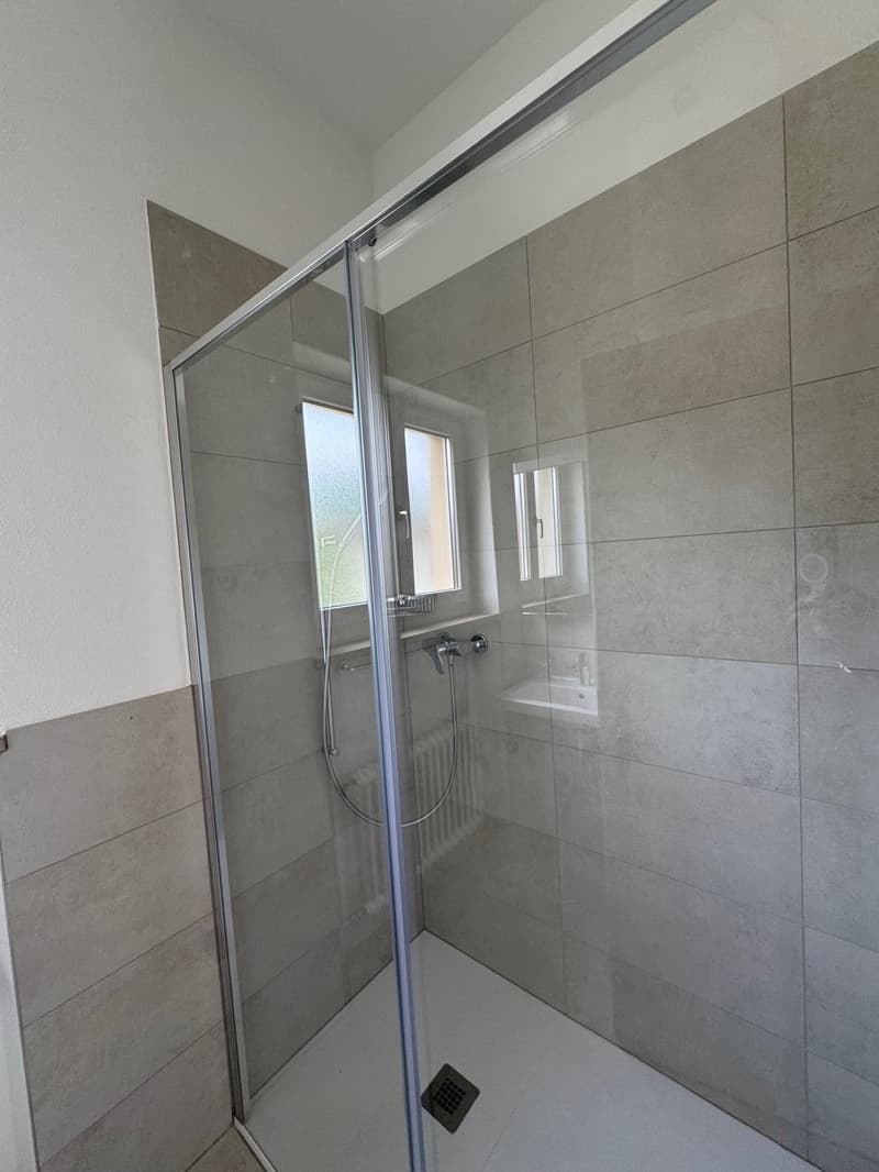 Location 5.5 pièces rénové à Massagno (16)