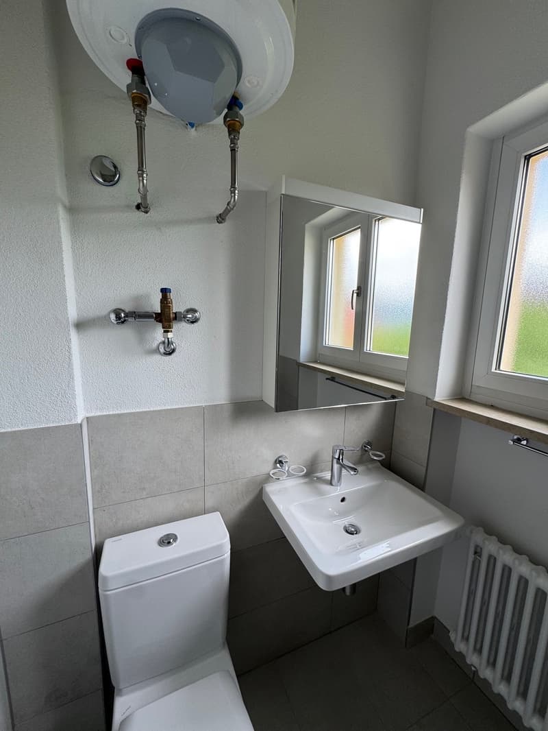 Location 5.5 pièces rénové à Massagno (17)