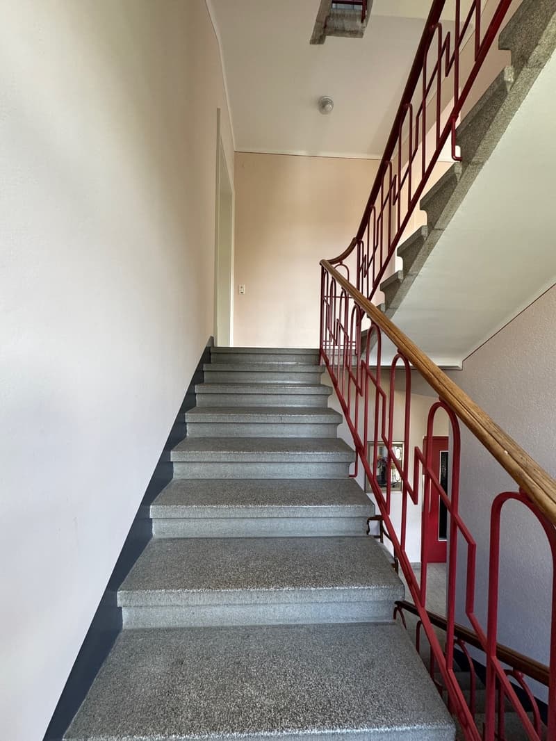 Location 5.5 pièces rénové à Massagno (4)