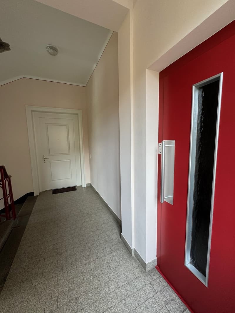 Location 5.5 pièces rénové à Massagno (5)
