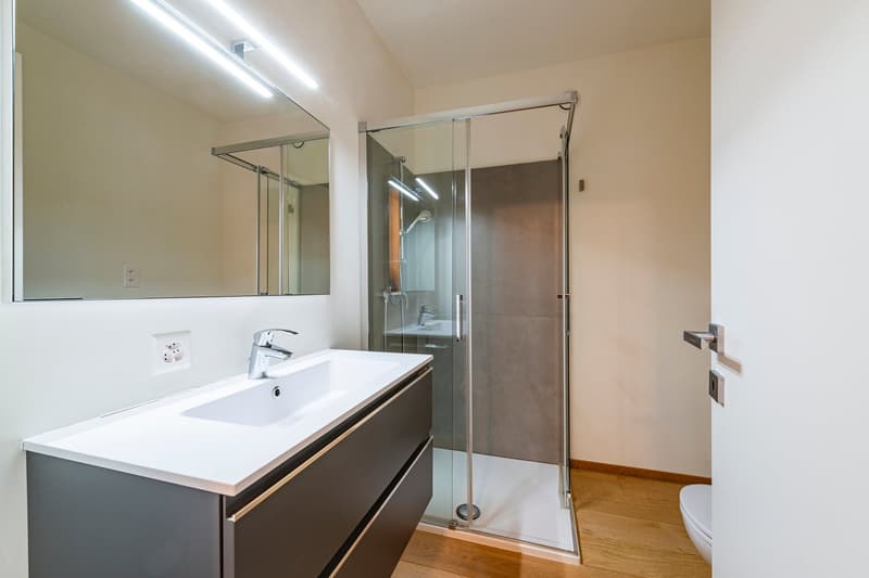 Mietwohnung 4.5 Zimmer in Porza renoviert (11)