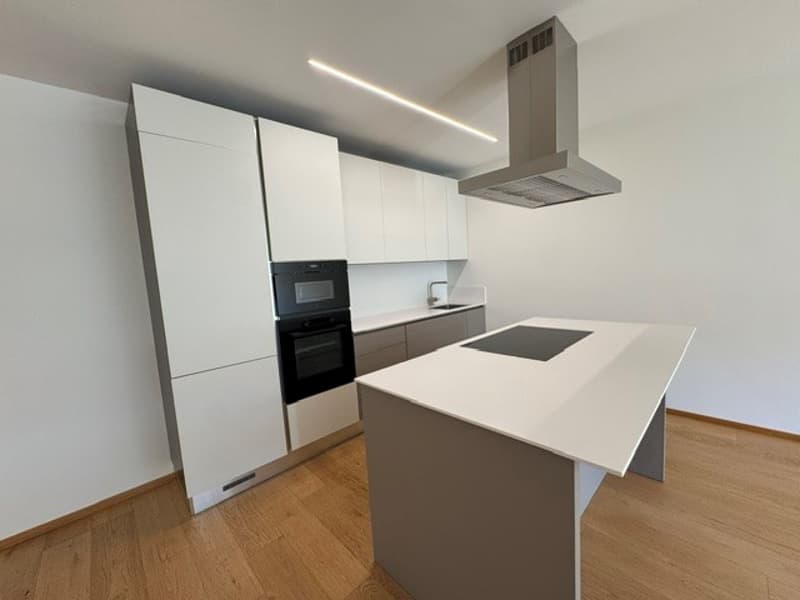 AFFITTASI 4.5 LOCALI A PORZA RISTRUTTURATO (6)
