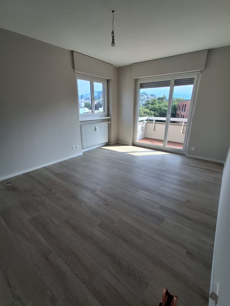 AFFITTASI 4.5 LOCALI ATTICO COMPLETAMENTE RISTRUTTURATO A LUGANO (12)