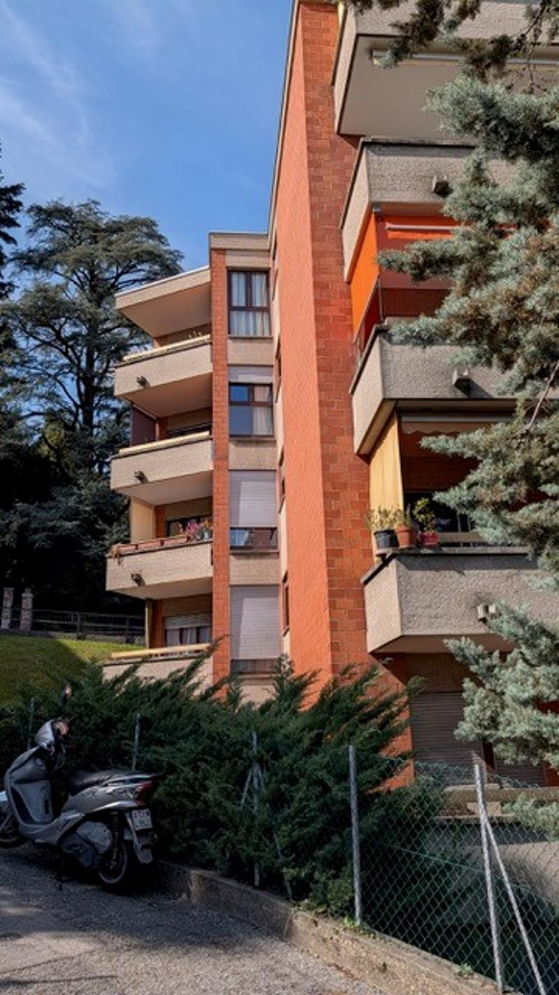 Affittasi appartamento di 2.5 locali con giardino a Massagno (13)