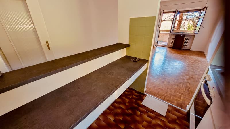 Affittasi appartamento di 2.5 locali con giardino a Massagno (5)